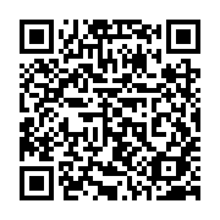 QR code for plate 313-CXI