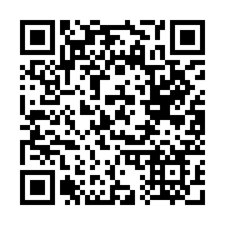 QR code for 313IBO