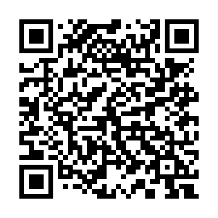 QR code for 313NNE