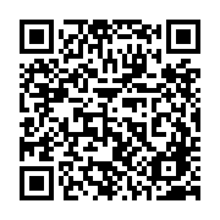 QR code for 313ODG