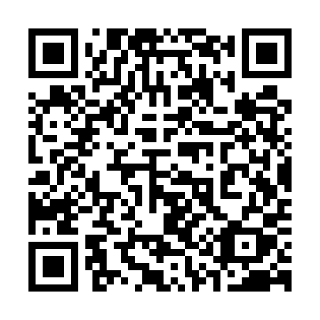 QR code for plate 313-UPY