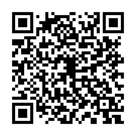 QR code for plate 315-HSS