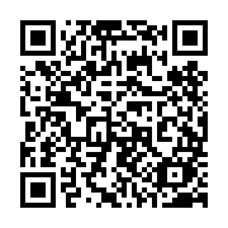 QR code for 318DMM