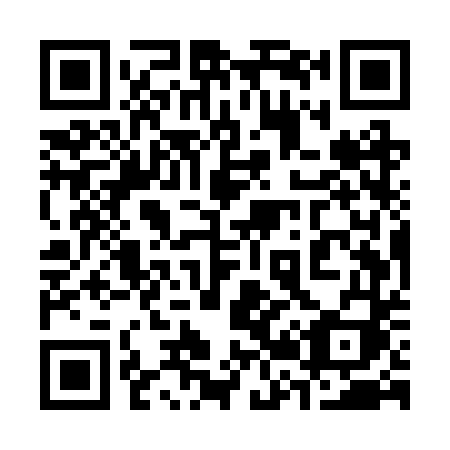 QR code for plate 325-RTI