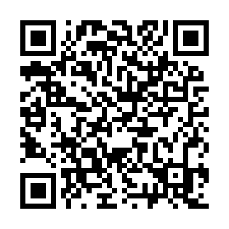 QR code for plate 331-IRK