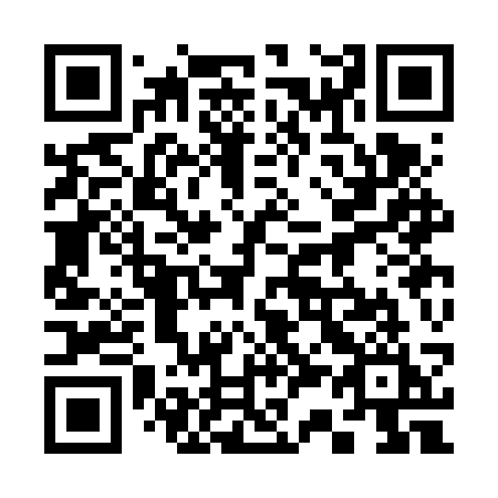 QR code for 333-FSI