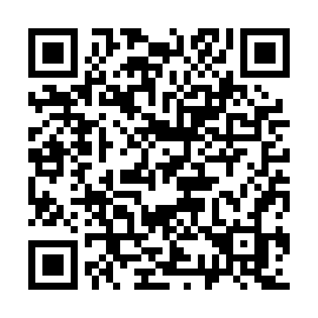 QR code for 333-PFJ