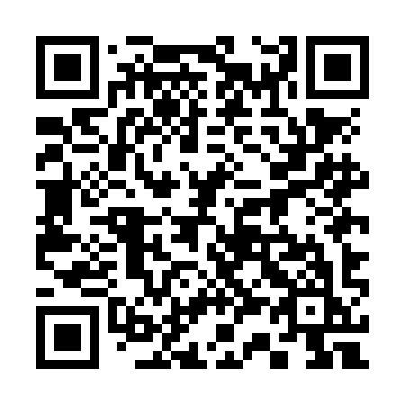 QR code for 335-NIK