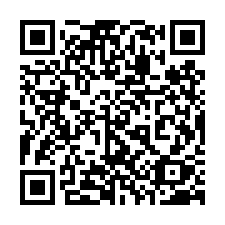 QR code for 335-TSX