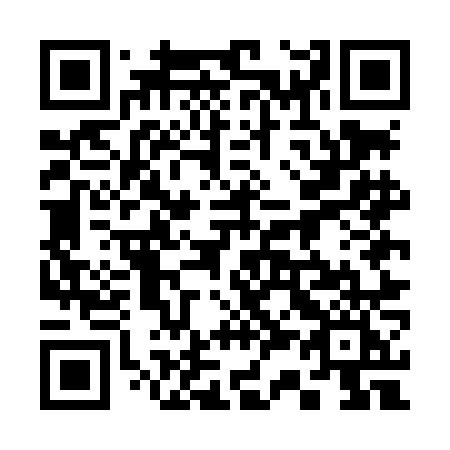 QR code for 335LNI