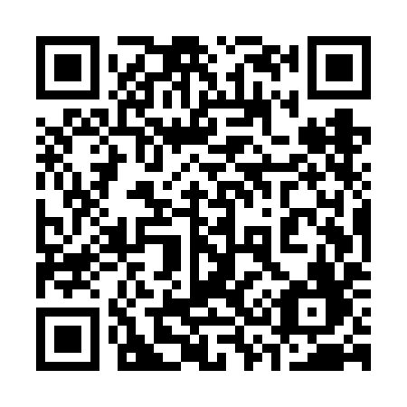 QR code for 335VIF