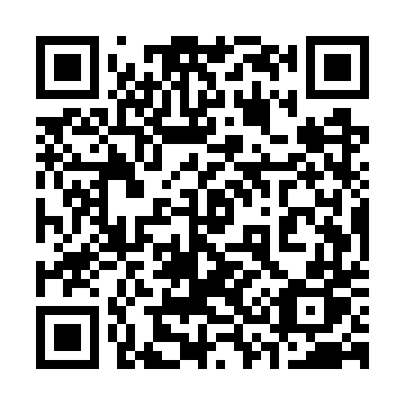 QR code for plate 335-WTP