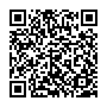 QR code for plate 336-AYR