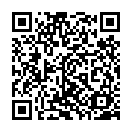 QR code for 337-DVM