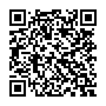 QR code for 338-LQL