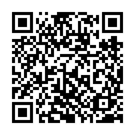 QR code for 338-VIS