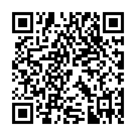 QR code for plate 338-HOH