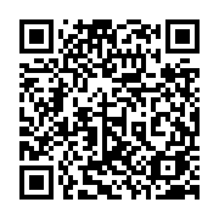 QR code for plate 338-JUA