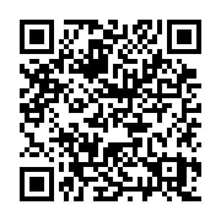 QR code for 339-SJY