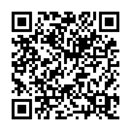 QR code for plate 339-OFG