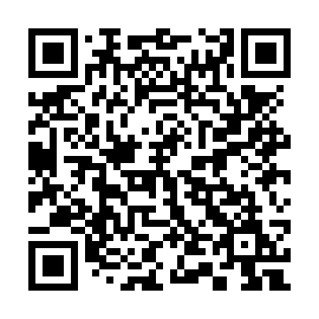 QR code for plate 341-NSM