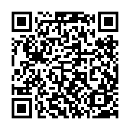 QR code for 370-BIR