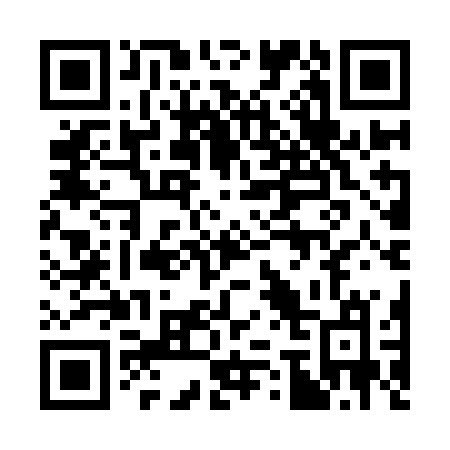 QR code for 371-IBM