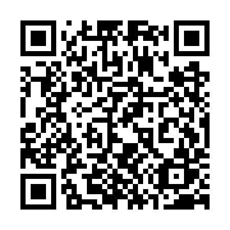 QR code for plate 375-GYR