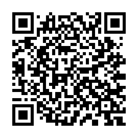 QR code for plate 375-RLG