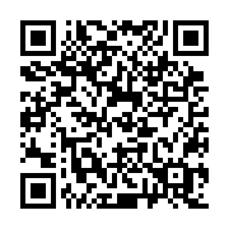 QR code for 376-SNG
