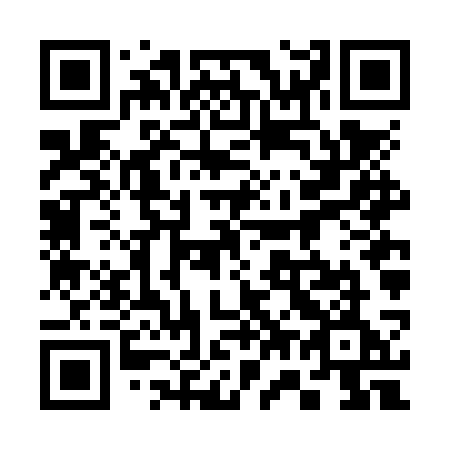 QR code for plate 376-NSE