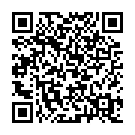 QR code for plate 379-BRM
