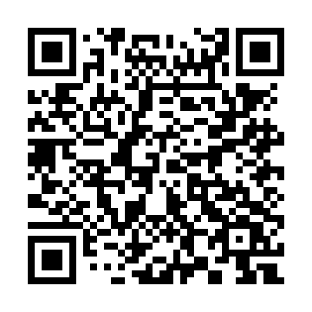 QR code for plate 380-NDV
