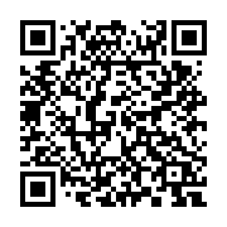 QR code for 381-FPR