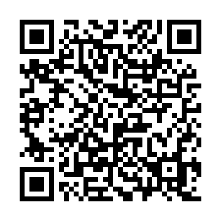 QR code for 381-MSO