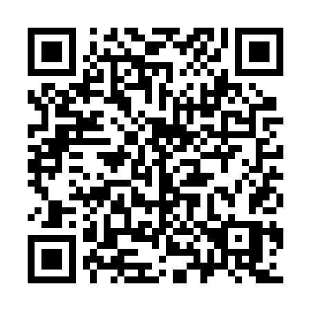 QR code for 381-RTS