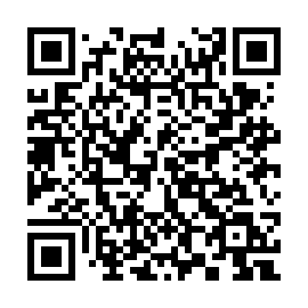 QR code for plate 381-FCL