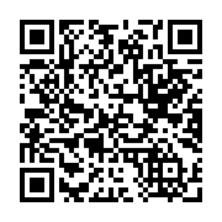 QR code for plate 381-FIT