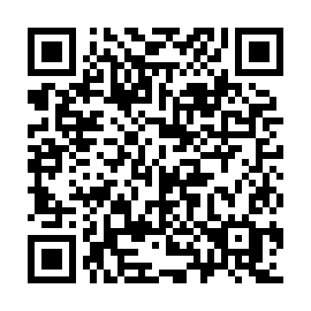 QR code for 381HKG
