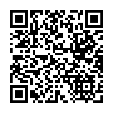 QR code for plate 381-IDO