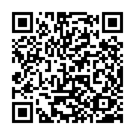 QR code for plate 381-QJX