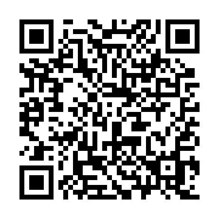 QR code for plate 381-RQO