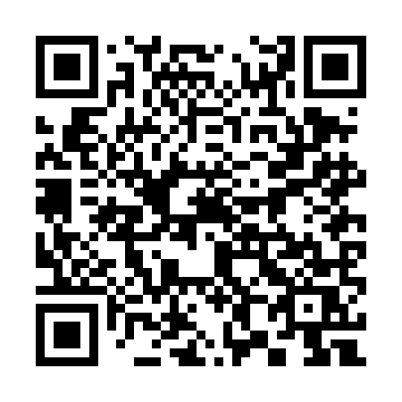 QR code for 382-DMS