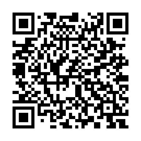 QR code for 382-PEJ