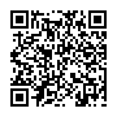 QR code for 382SDS