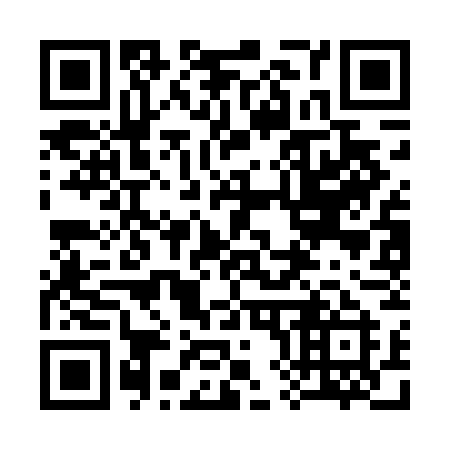 QR code for 383-DGI