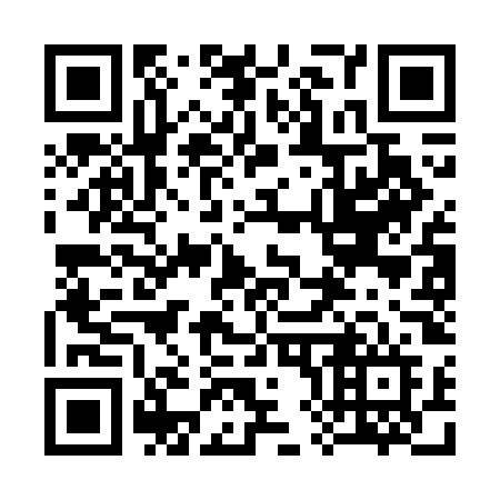 QR code for 383-GOF