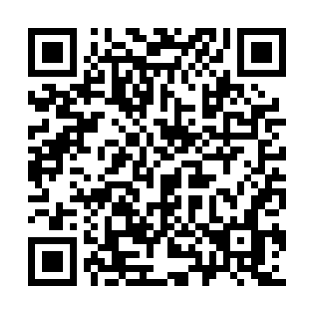 QR code for 383-PDN