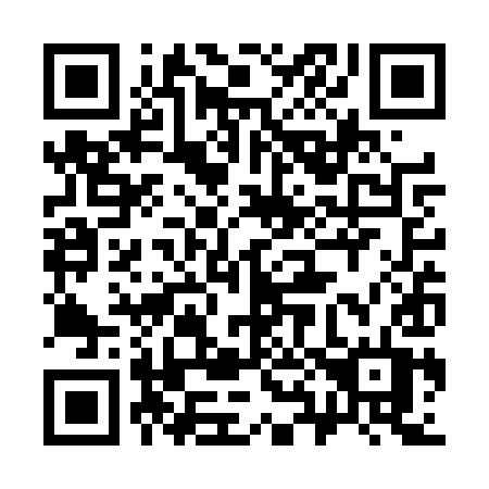 QR code for 383-TYT