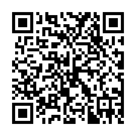 QR code for plate 383-CIR
